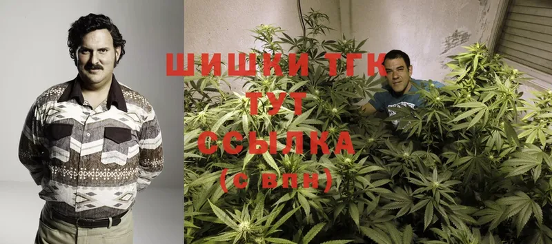 Бошки марихуана Ganja  Вязники 